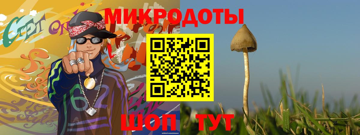 Галлюциногенные грибы Psilocybe  Галлюциногенные грибы MAGIC MUSHROOMS  Вход с VPN  Ставрополь 