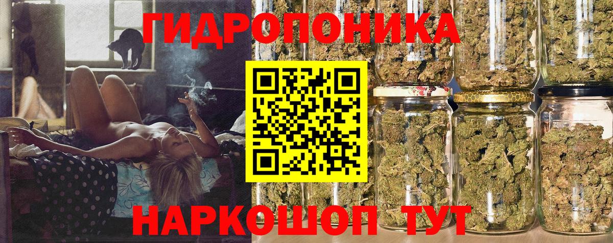 Шишки марихуана сатива  Вход с VPN  Ставрополь  МАРИХУАНА сатива  Бошки Шишки сатива 